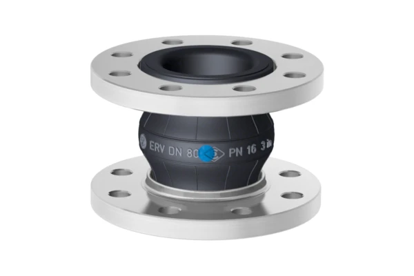ERV-BR 200.10