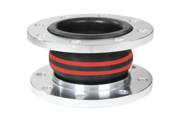 ROTEX 50.16 SS TA 6 bar